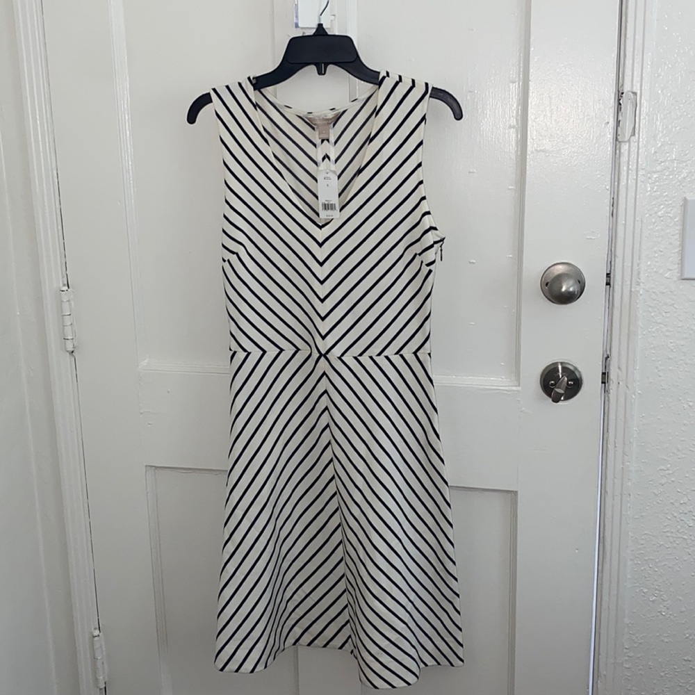 Banana Republic stripe fit and flare dress 6